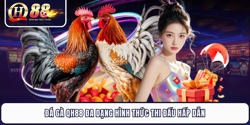 Đá gà QH88 đa dạng hình thức thi đấu hấp dẫn